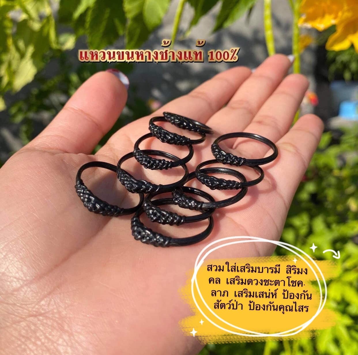 แหวนขนหางช้างสายเดี่ยว