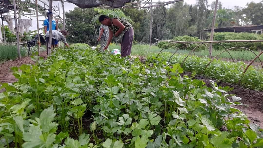 สินค้าชุมชน  บ้านไทรงาม