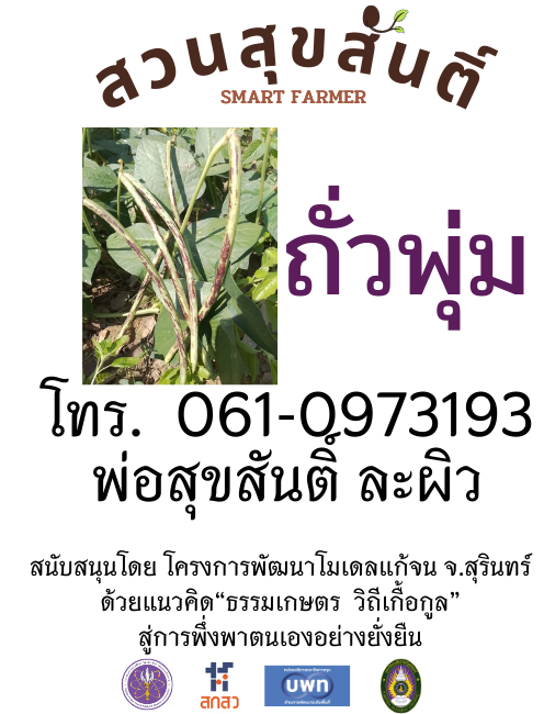 เมล็ดพันธุ์ถั่วพุ่ม