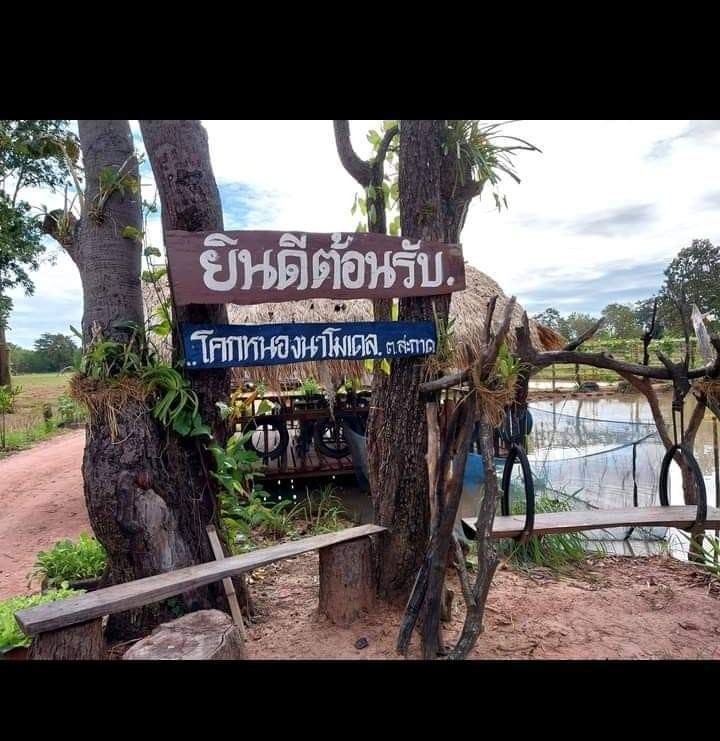 พัทจารี