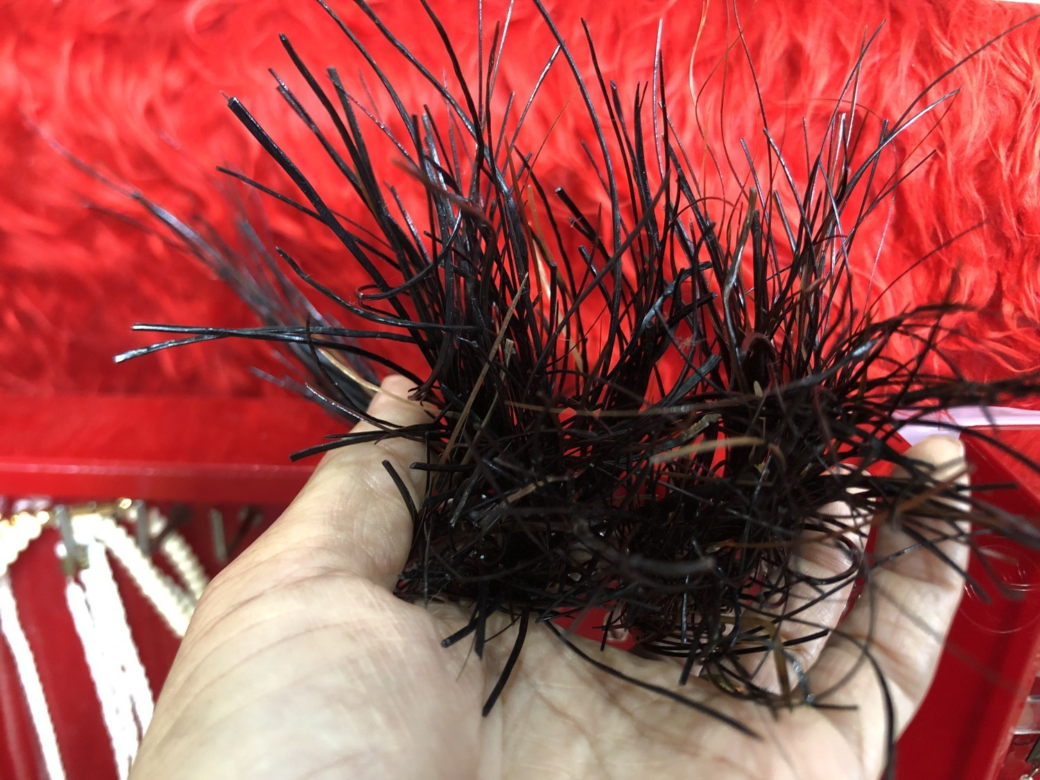 พวงกุนแจหางช้าง