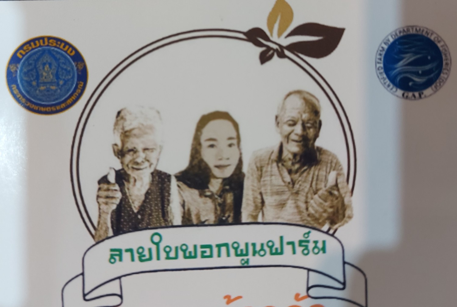 ลายใบพอกพูนฟาร์ม