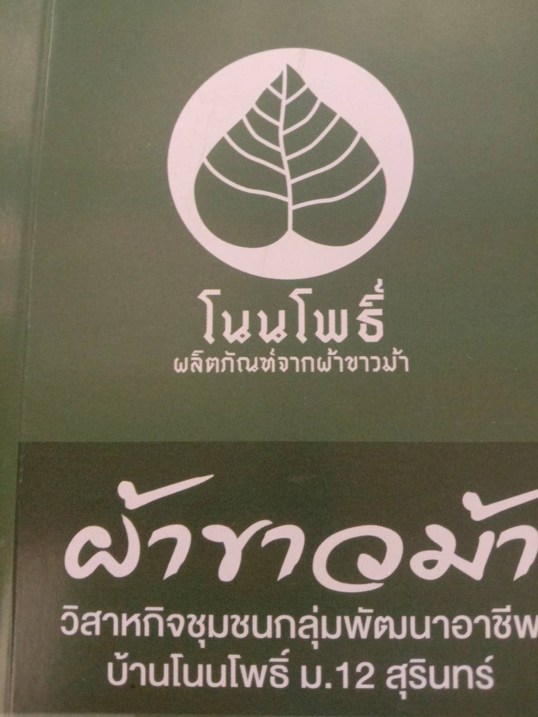 อังสนา พรหมชาติ