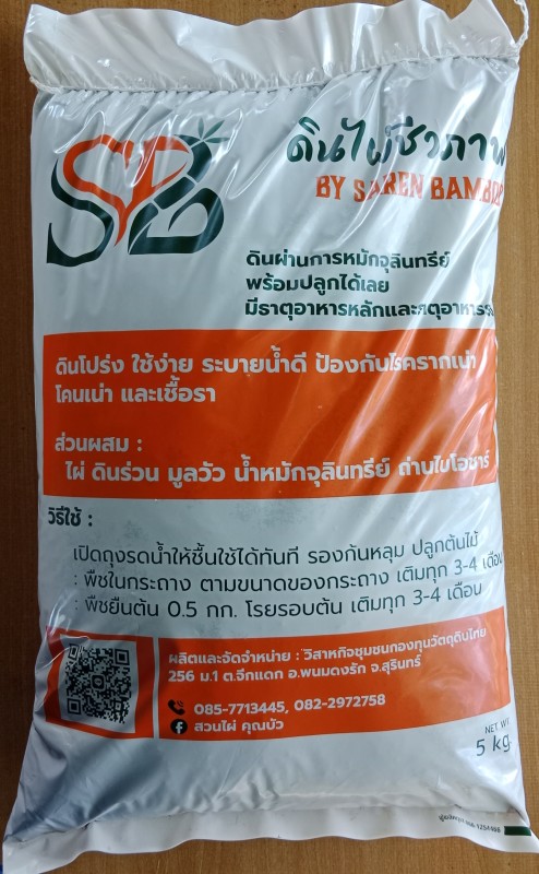 ดินไผ่ชีวภาพ