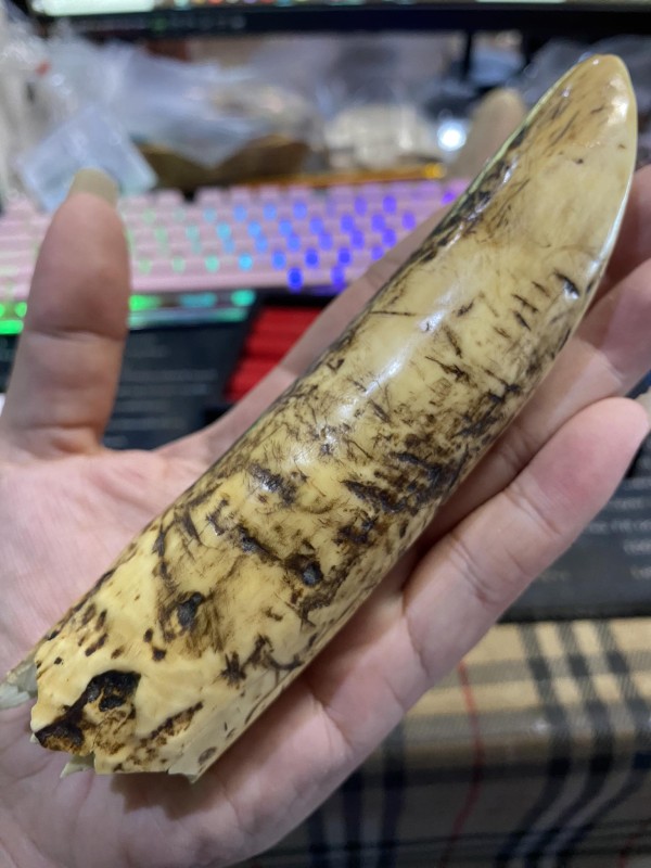 ปลายงๅกระเด็น