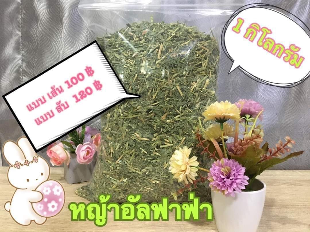 หญ้าอัลฟาฟ่า