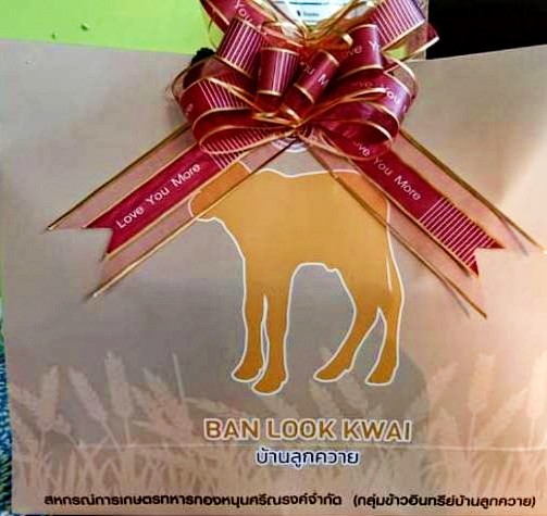 Otopบ้านลูกควาย