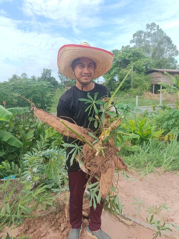 สวนบัวผัน