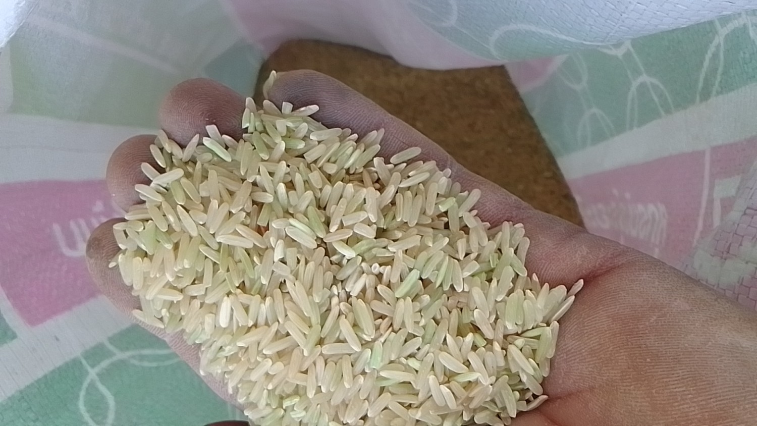 ข้าวปกาอำปึล