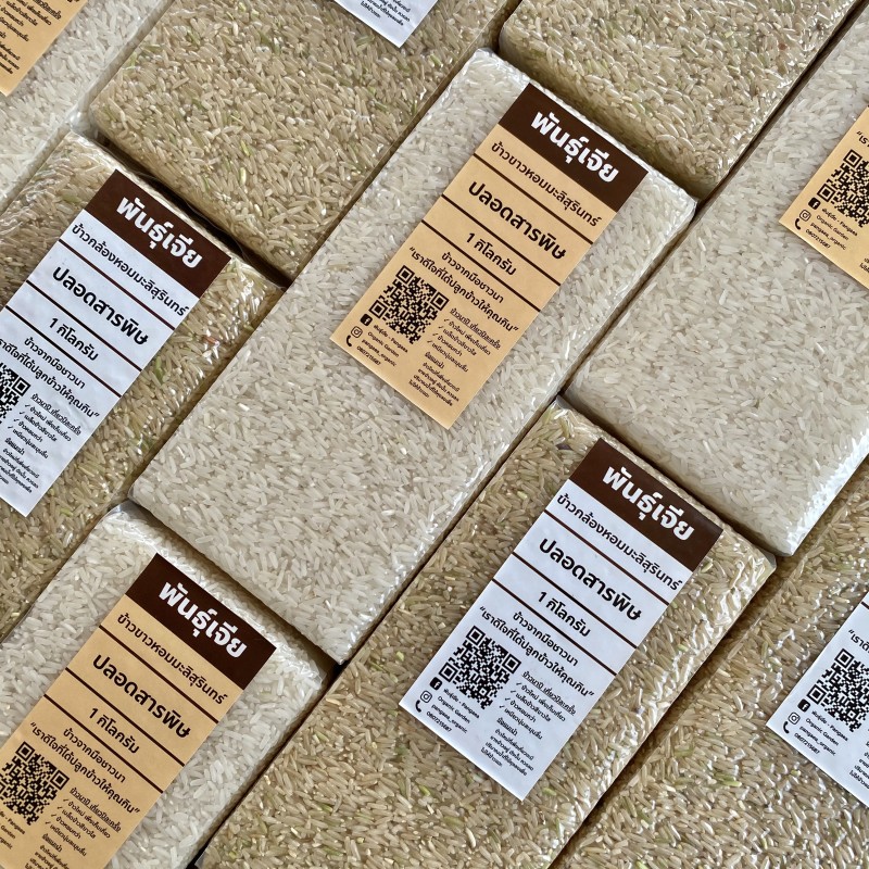 ข้าวหอมมะลิสุรินทร์พันธุ์เจีย