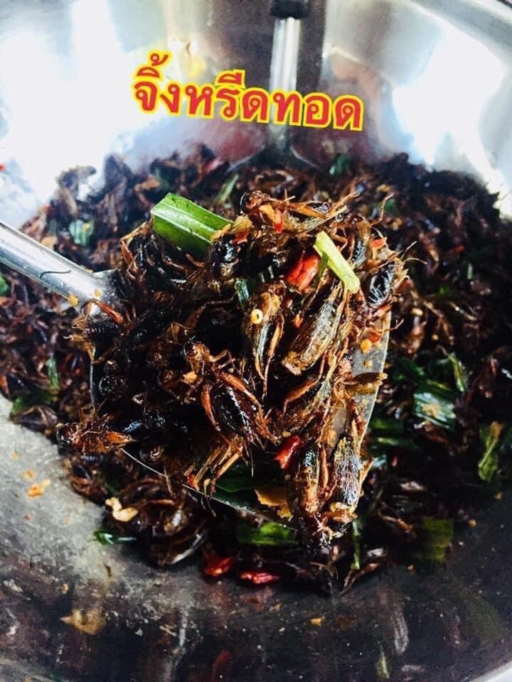 จิ้งหรีดทอด