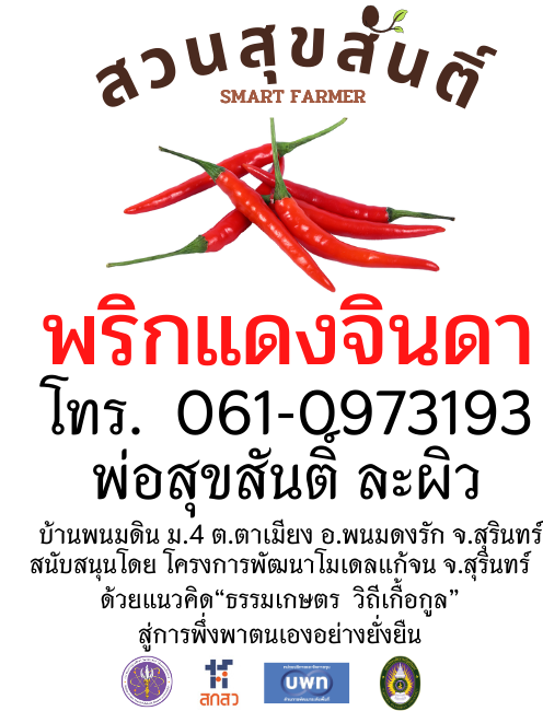 เมล็ดพันธุ์พริกแดงจินดา