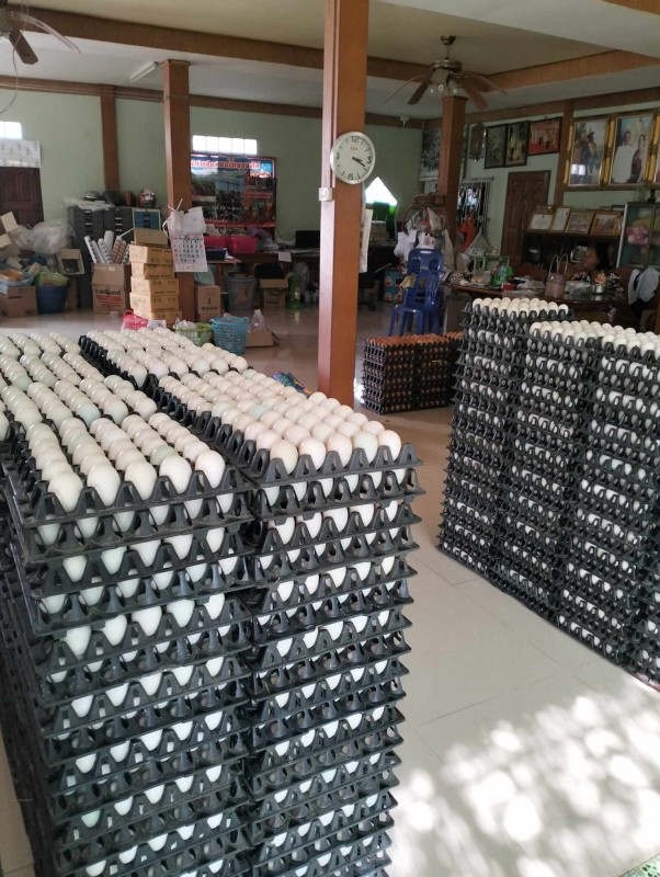 ไข่เป็ดเบอร์ 3