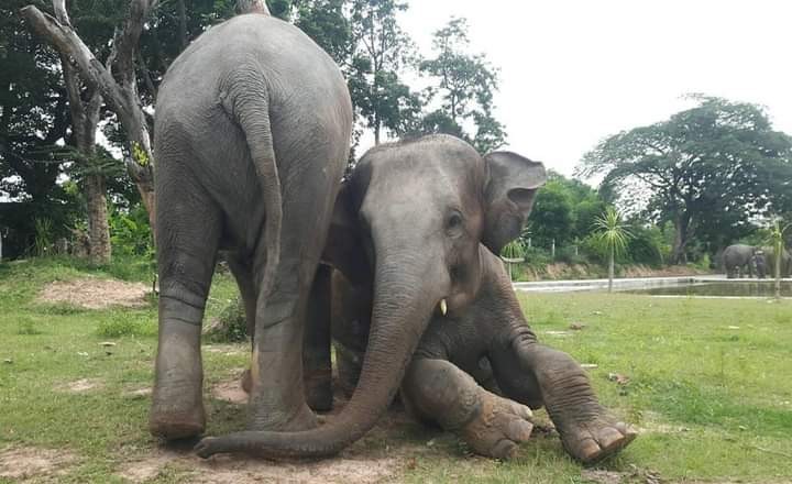 กลุ่มผ้าด้ายบ้านขุนไชยทอง