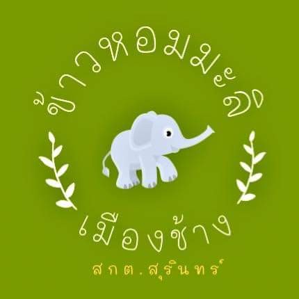 ข้าวหอมมะลิเมืองช้าง