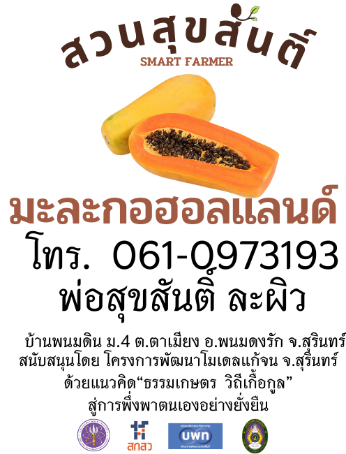 เมล็ดพันธุ์มะละกอฮอลแลนด์