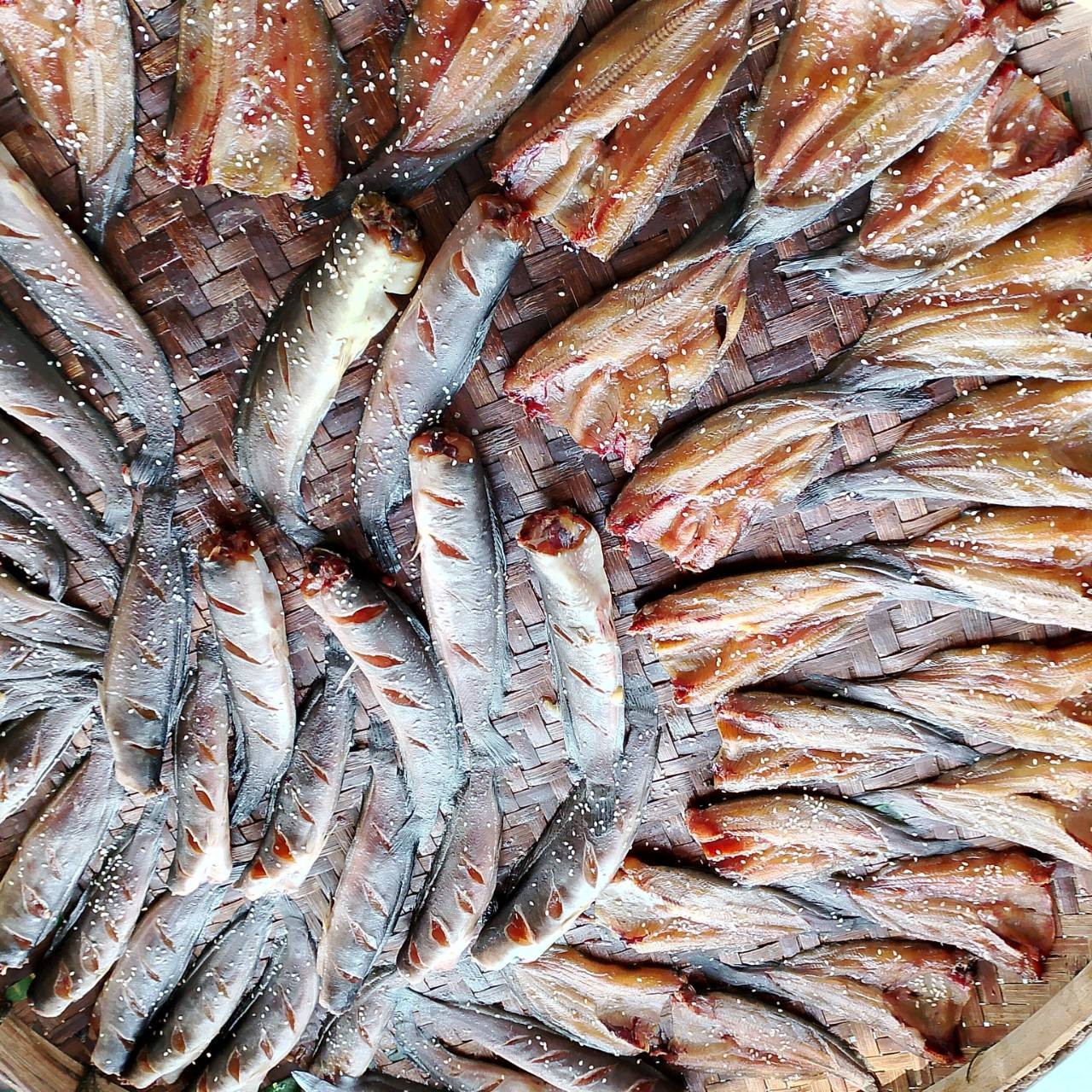 ปลาแดดเดียวชุมพลบุรี