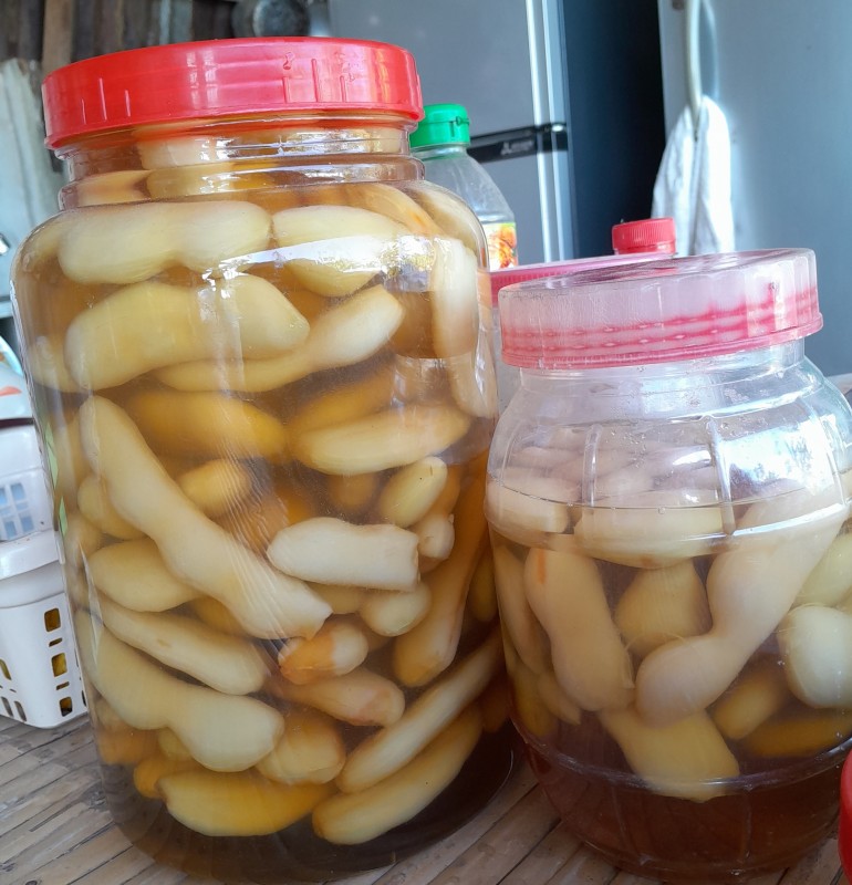 เฟอร์บี้