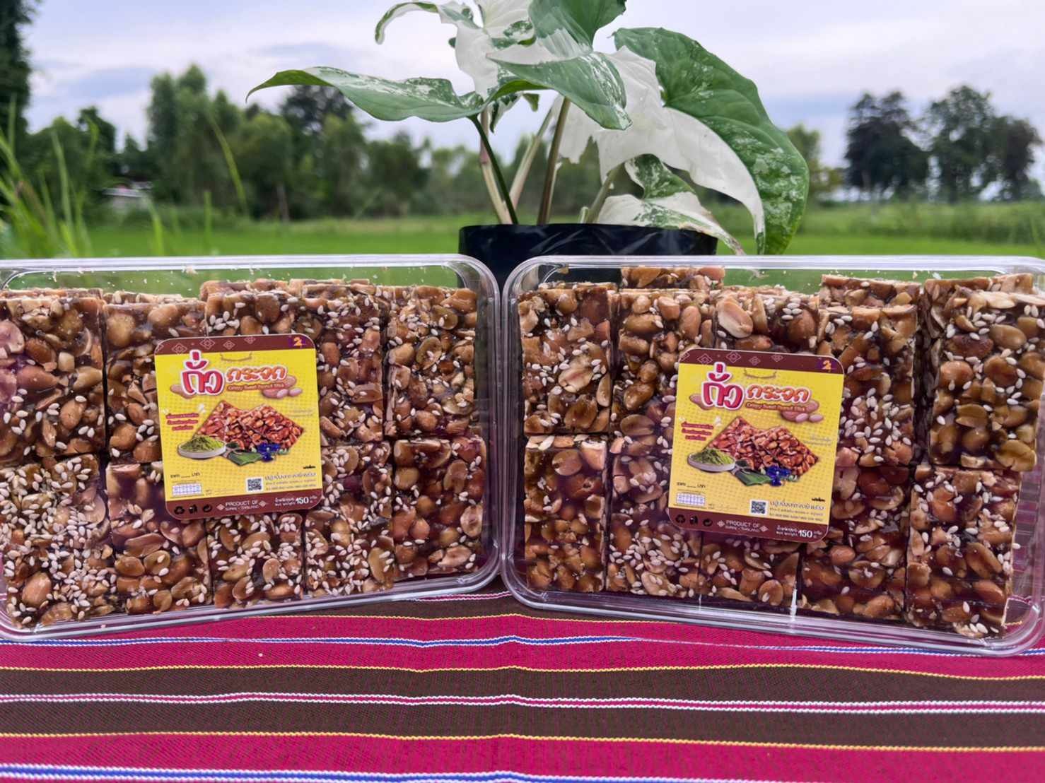 ถั่วกระจก กล่องใหญ่