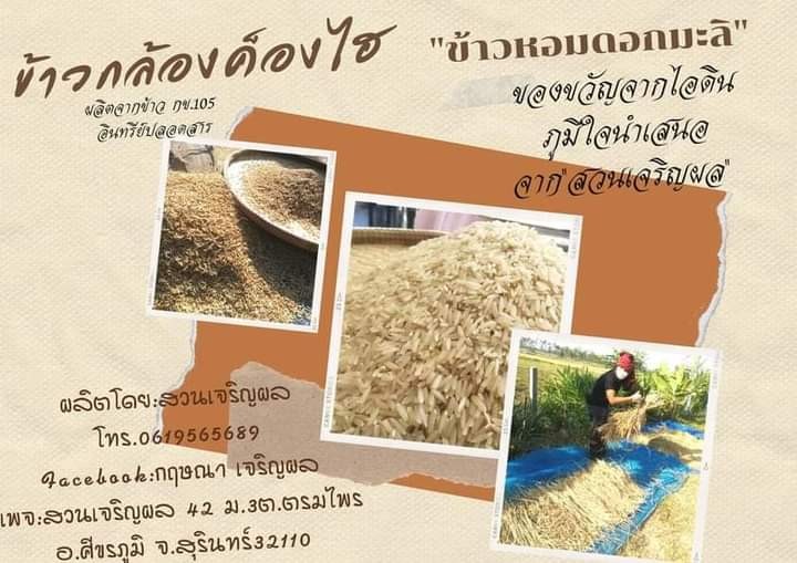 สวนเจริญผล