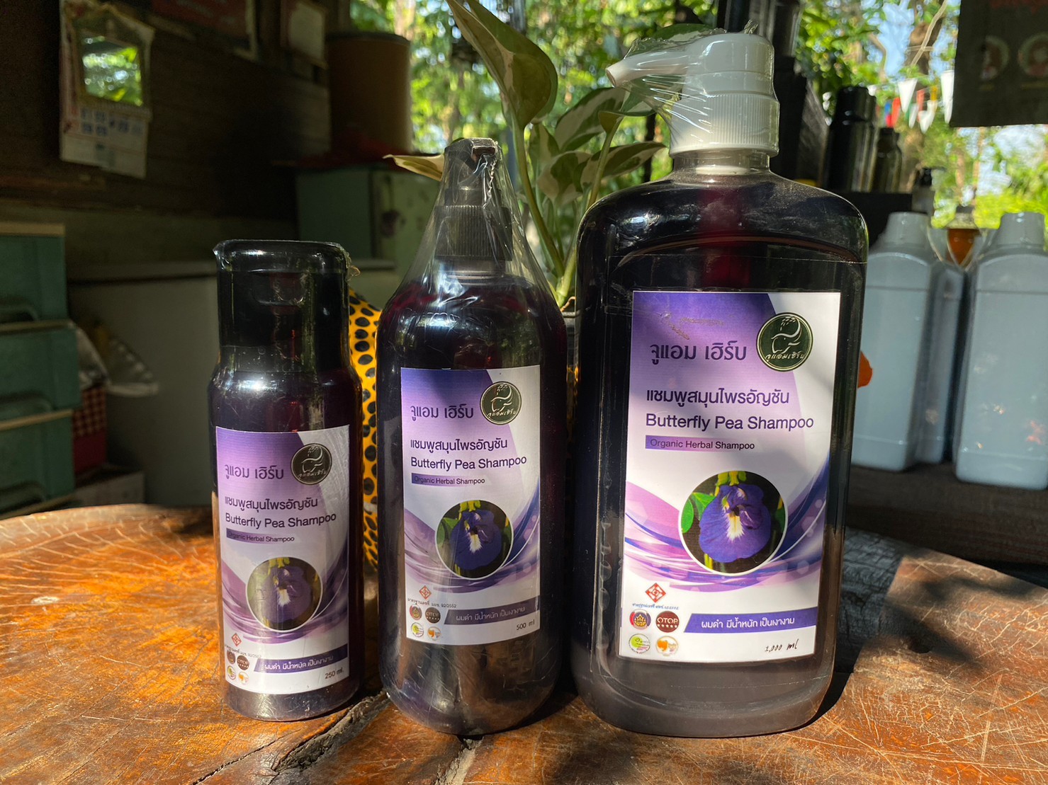 แชมพูสมุนไพรอัญชัน (Butterfly Pea Shampoo)