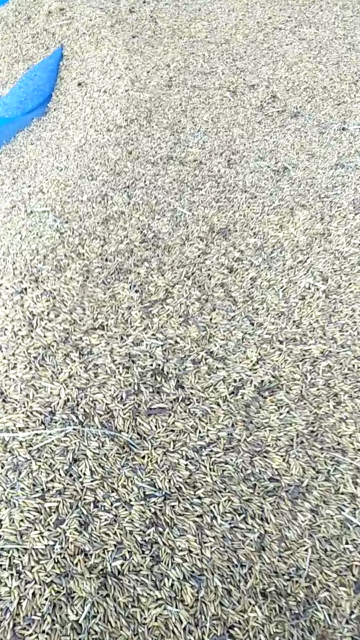 สุเพียบ