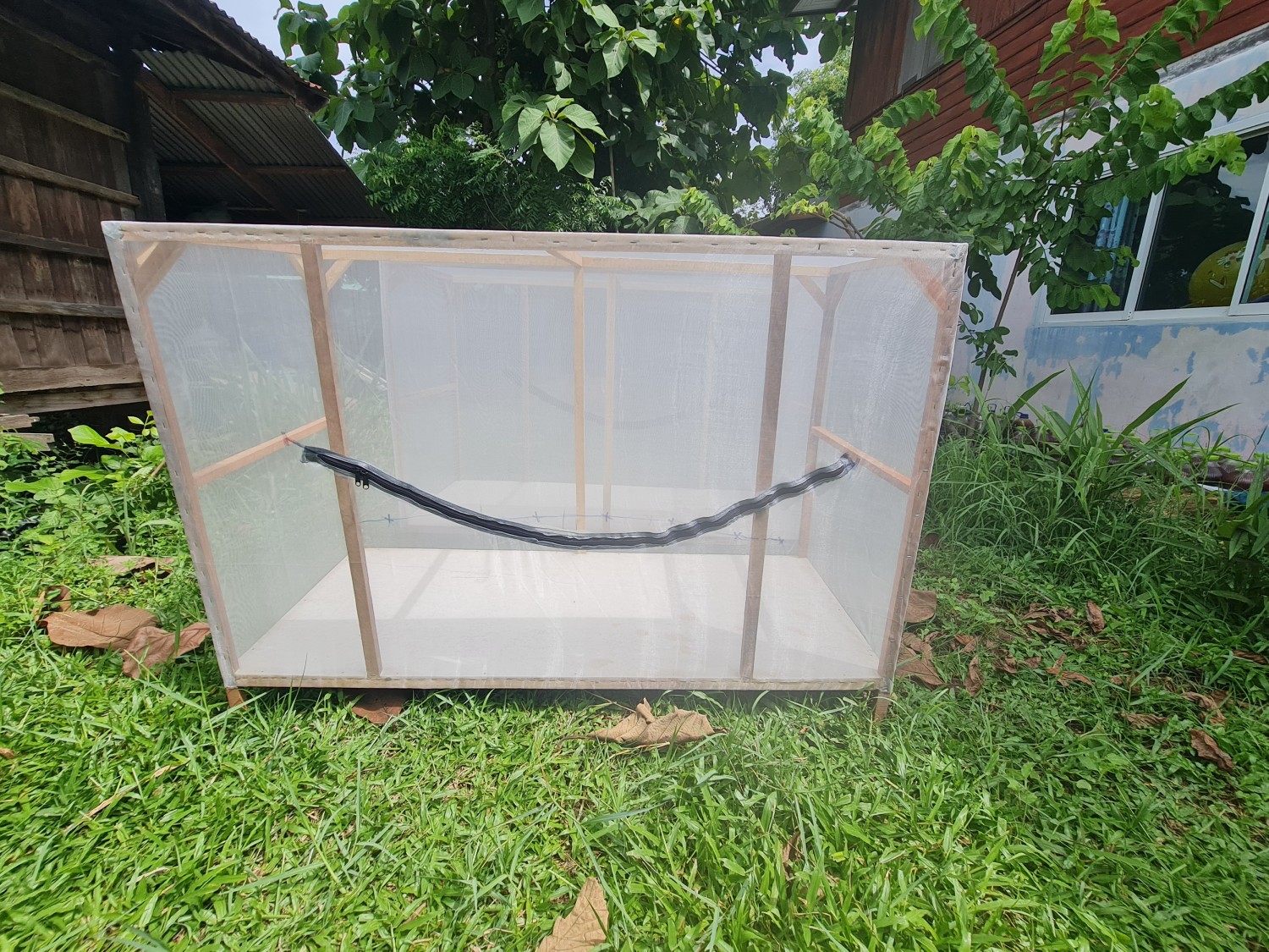 กรงเลี้ยงตั้กแตน