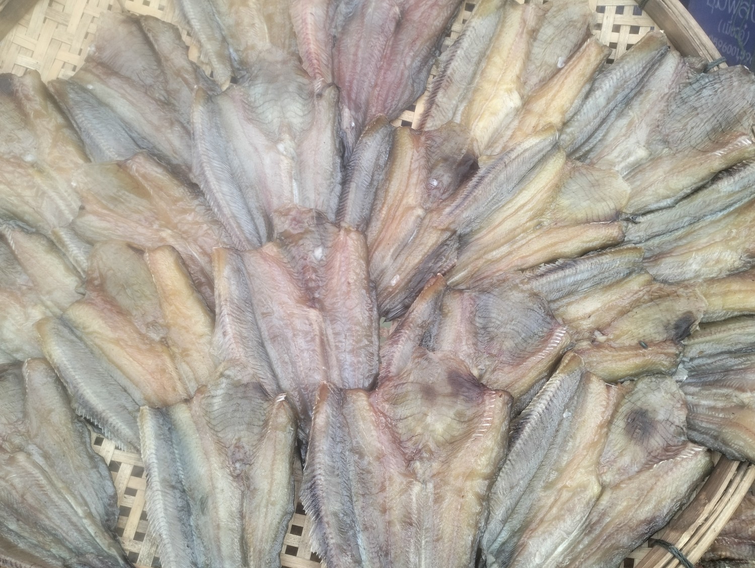 ปลาดุกแดดเดียว