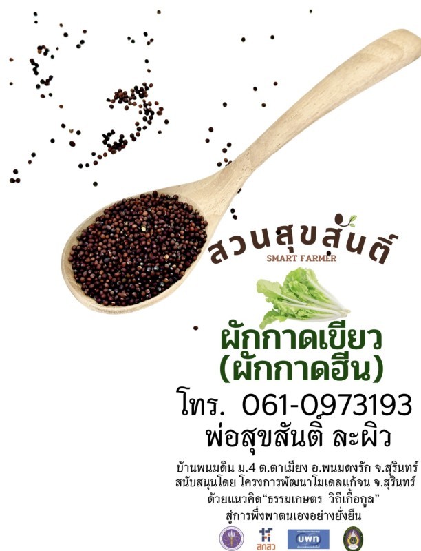 ผักกาดฮีน