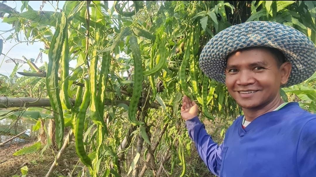 เมล็ดถั่วพูพันธุ์ยาว