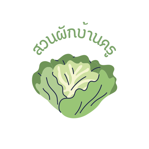 สวนผักบ้านครู