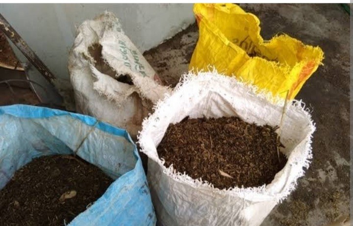 ปุ๋ยมูลวัวอินทรีย์