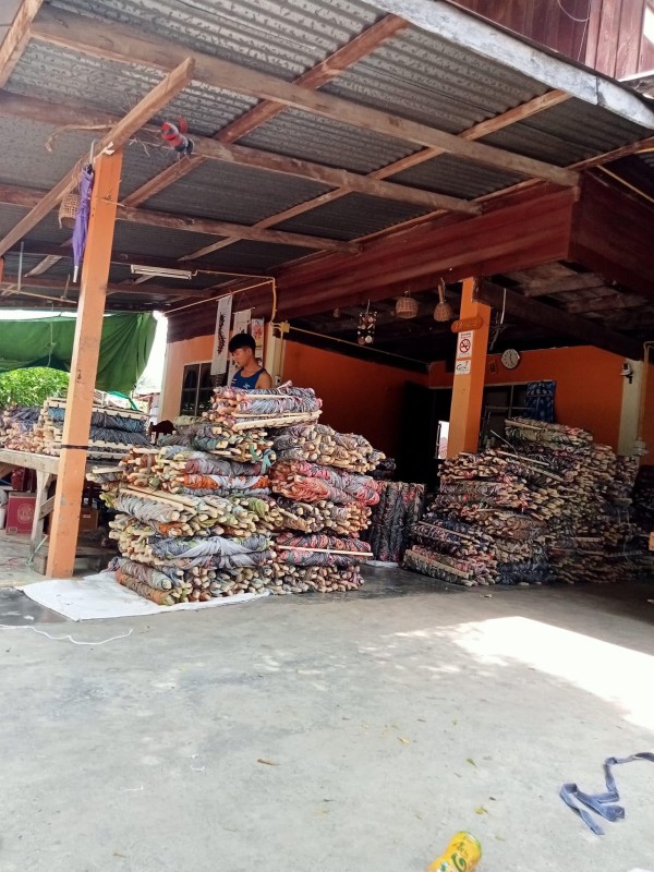 อำนวยเปลนอน