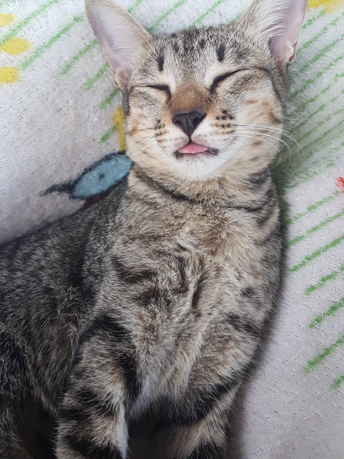 Sarang(ซรัง)