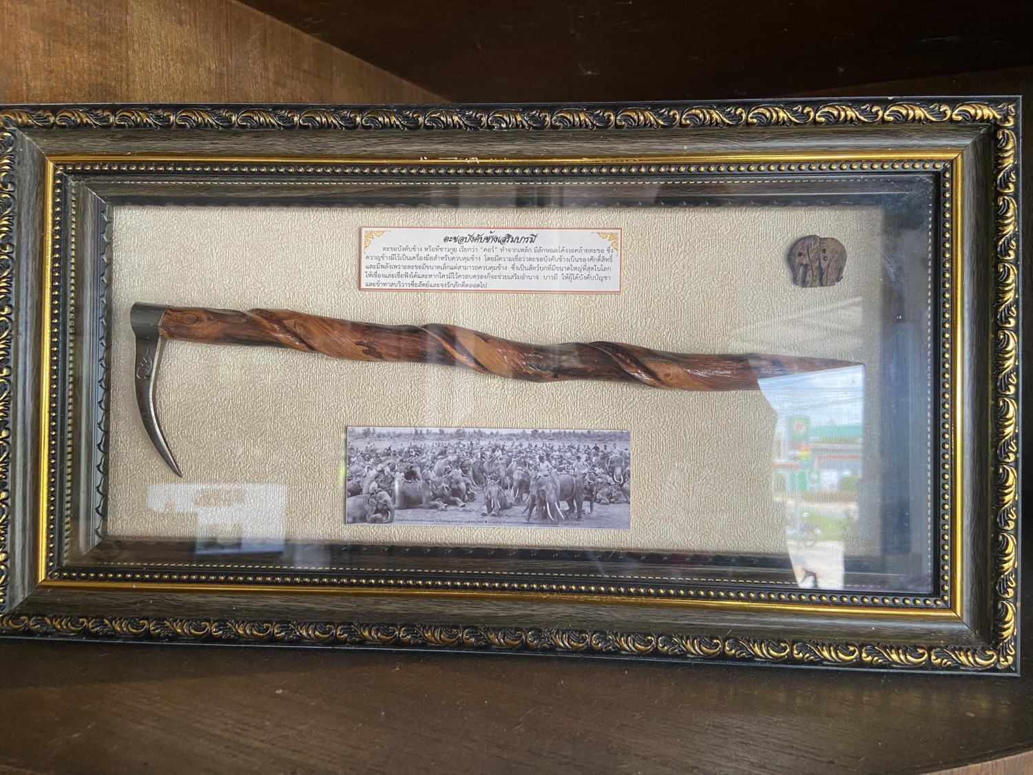 กรอบตะขอช้างมงคล