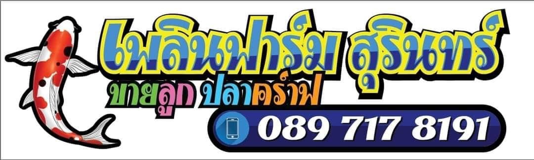 เพลินฟาร์มสุรินทร์ (ขายปลาคร์าฟ)