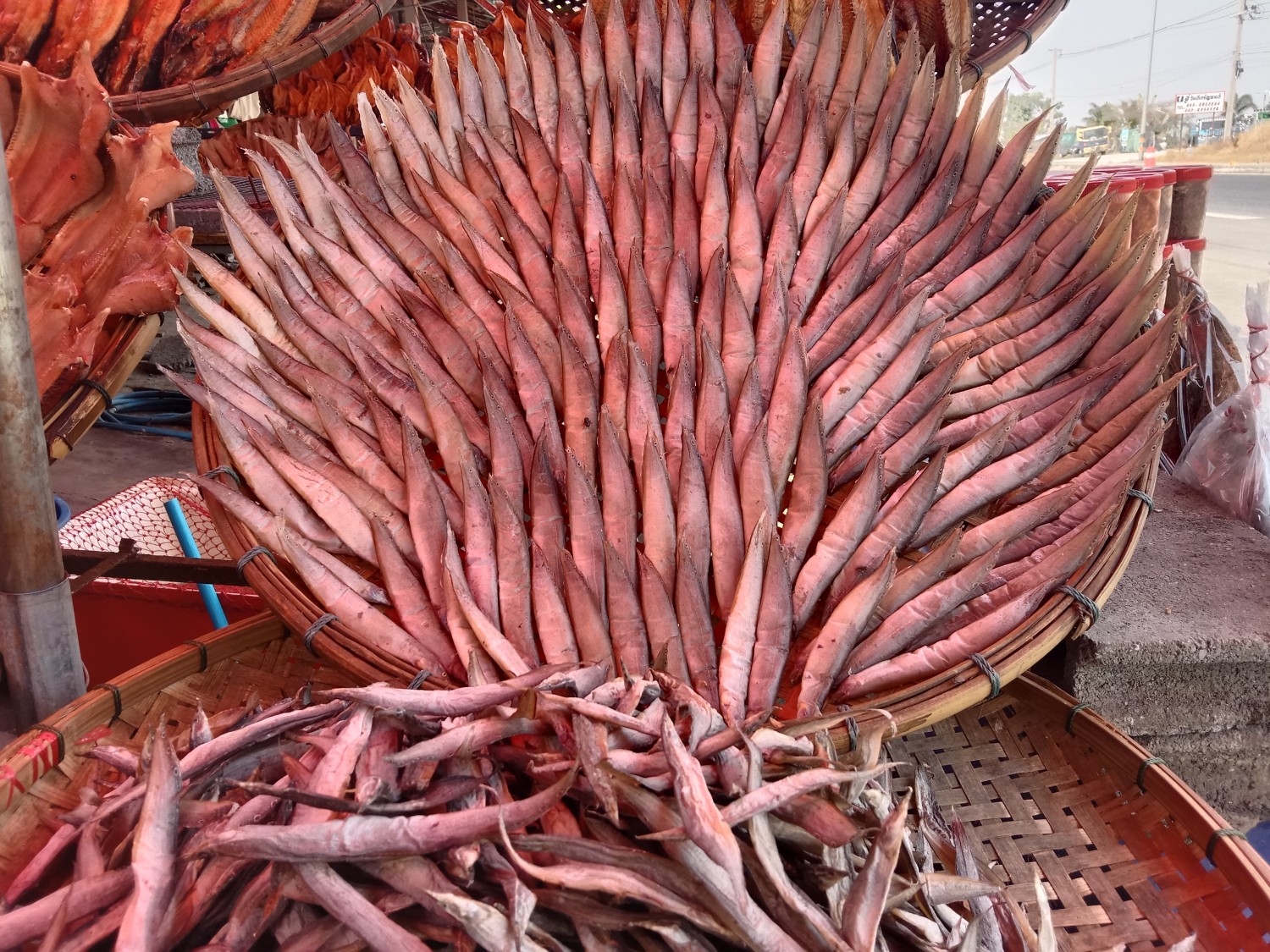 ปลาหลดแห้ง