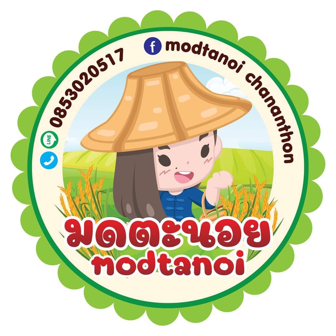 มดตะนอย