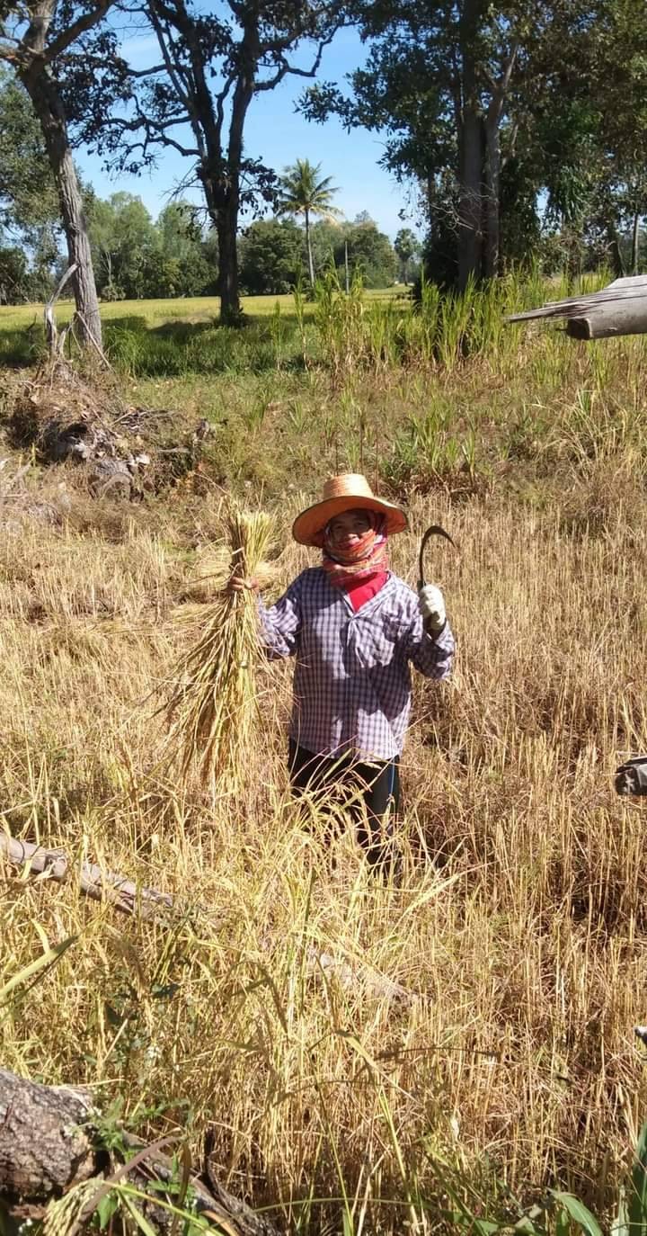 ตาลแม่วงเดือน