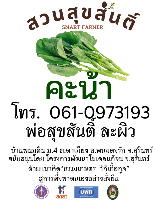 เมล็ดพันธุ์คะน้า