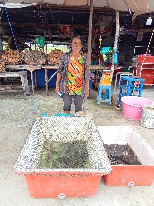 อุมารินทร์