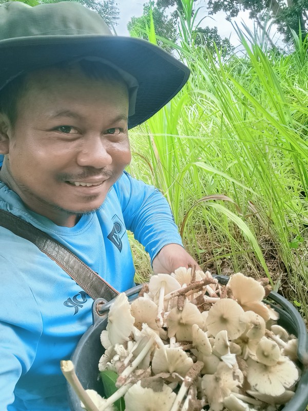 สวนตาแอ็ม