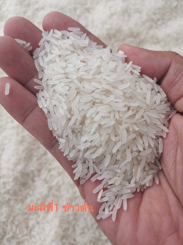 ข้าวหอมมะลิสุรินทร์ ที่1 ตรามีคุณ ขนาด15 กิโลกรัม