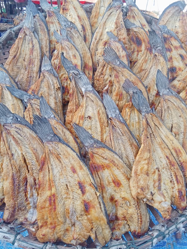 ปลาช่อนย่าง