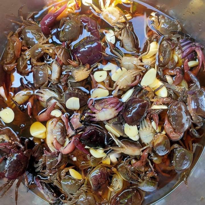 ปูนาดอง