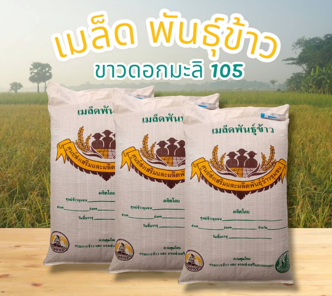 เมล็ดพันธุ์ข้าว ขาวดอกมะลิ 105