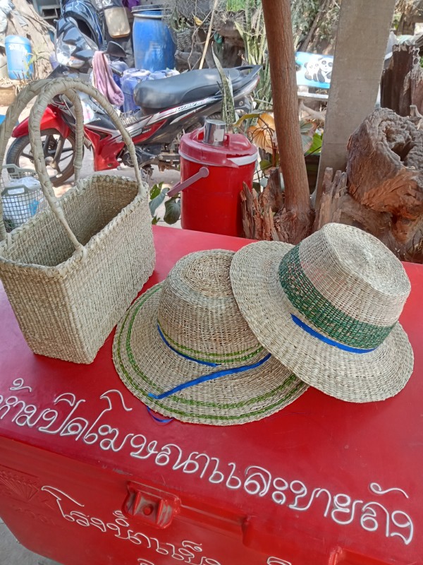 เสื่อกกไหล