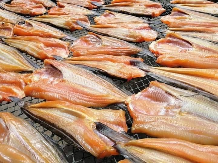 ปลาดุกแดดเดียว