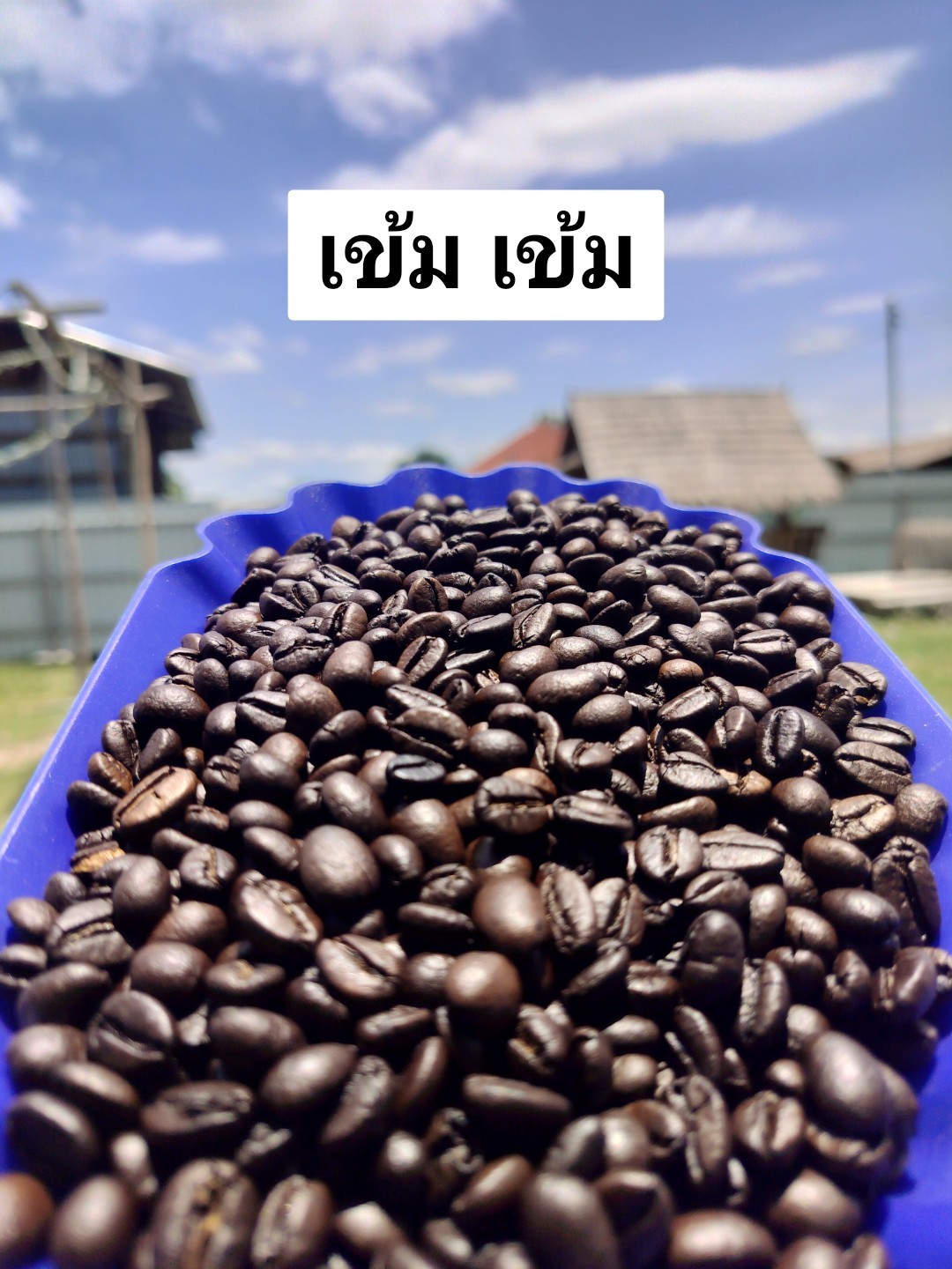 กาแฟอาราบิก้า คั่วเข้ม