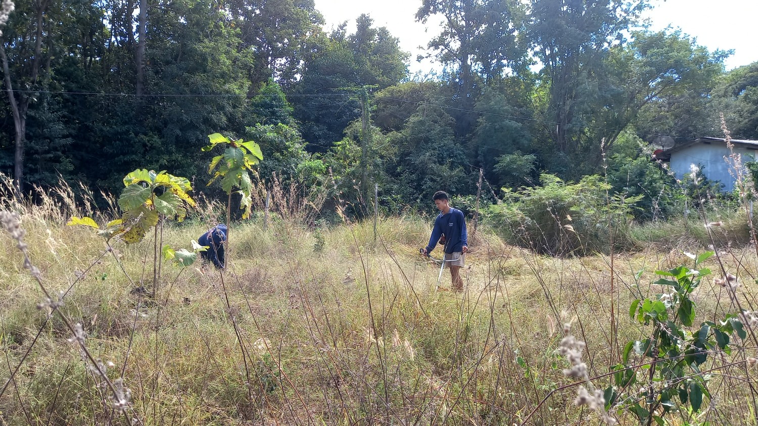 เกษตรครูพิน